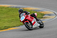 PJ-Motorsport-2019;anglesey-no-limits-trackday;anglesey-photographs;anglesey-trackday-photographs;enduro-digital-images;event-digital-images;eventdigitalimages;no-limits-trackdays;peter-wileman-photography;racing-digital-images;trac-mon;trackday-digital-images;trackday-photos;ty-croes